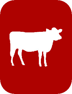 Machine Design - Cow image