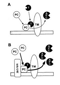 Project C Diagram