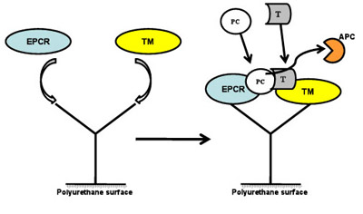 Project C Diagram