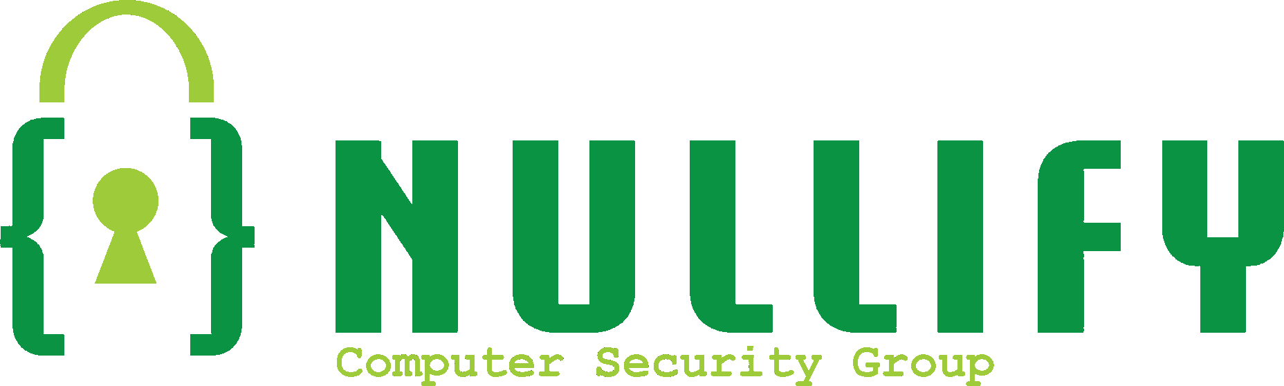 Nullify Computer Security