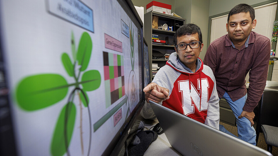 Rajib Saha, assistant professor of chemical and biomolecular engineering, and graduate student Niaz Bahar Chowdhury have created a genome-scale metabolic model for the corn root to study its nitrogen-use efficiency under nitrogen stress conditions. (University Communication photo)