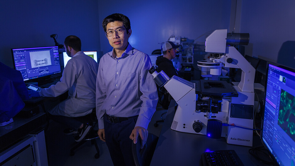 Ruiguo Yang, assistant professor of mechanical and materials engineering, is using a $540,000 grant from the National Science Foundation’s Faculty Early Career Development Program to explore how cell-cell bridges respond to strains of different magnitudes and rates. (Craig Chandler / University Communication)