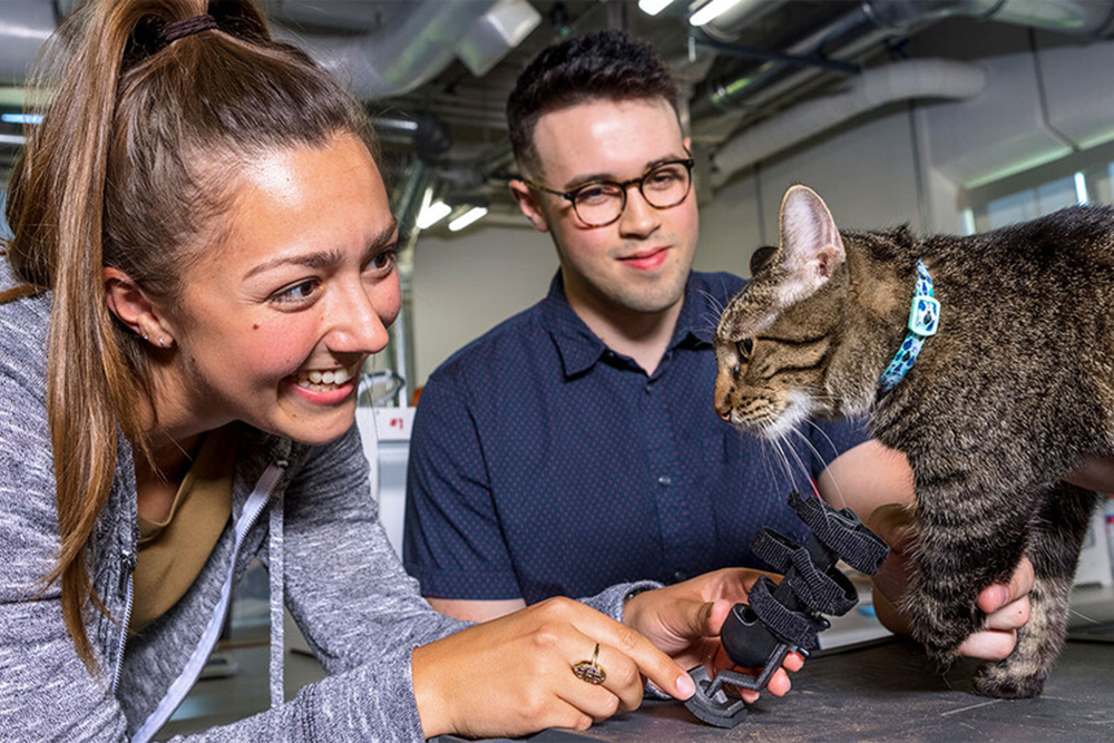 Recent Husker graduate Abby Smith (left) holds a prosthetic prototype that she and senior Harrison Grasso (center) helped develop for Olive (right), who is missing part of her left foreleg. (Craig Chandler / University Communication)