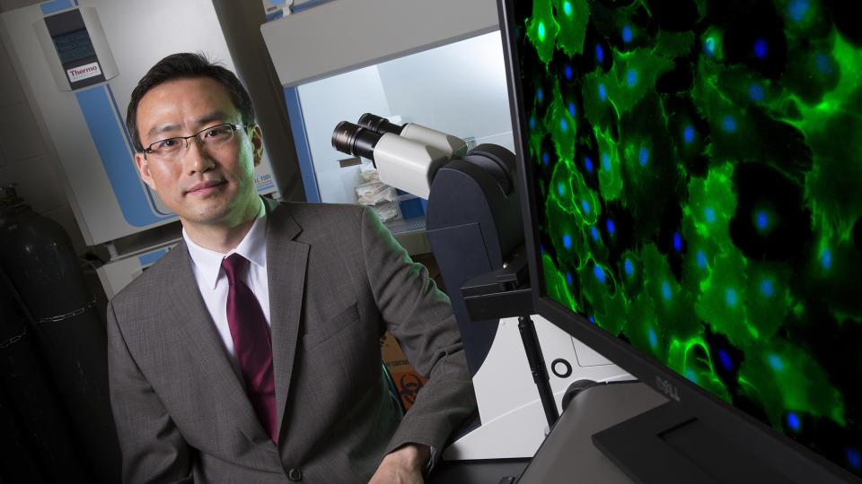 Jung Yul Lim, an assistant professor of mechanical and materials engineering, has received a five-year, $430,554 Faculty Early Career Development Program Award from the National Science Foundation for his research.