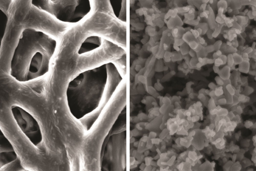 Images of the team's membrane (left) and the zinc nanoparticles (right) embedded within it. (Photo by Advanced Functional Materials / Wiley-VCH)