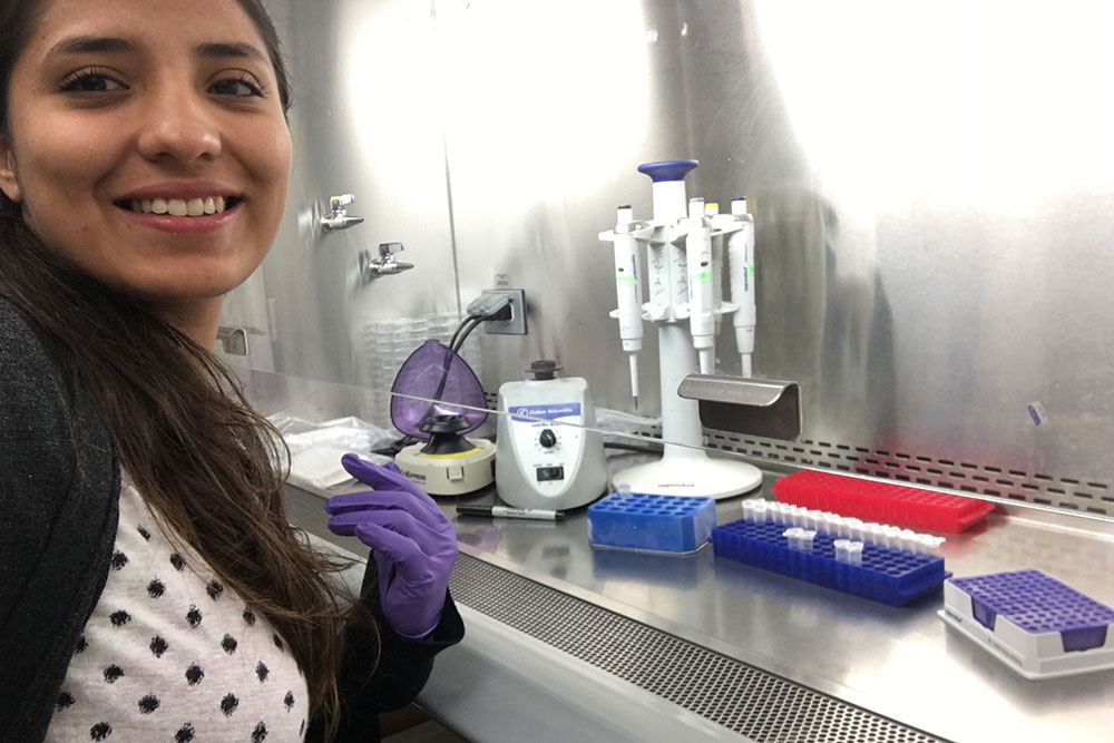 Selena Tinoco works on a project titled “Development of Practices to Limit the Transport of Antimicrobials and Antimicrobial Resistance Genes