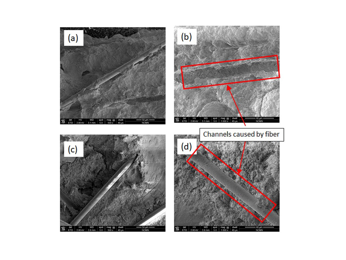 SEM Images of Fiber-reinforced Soils