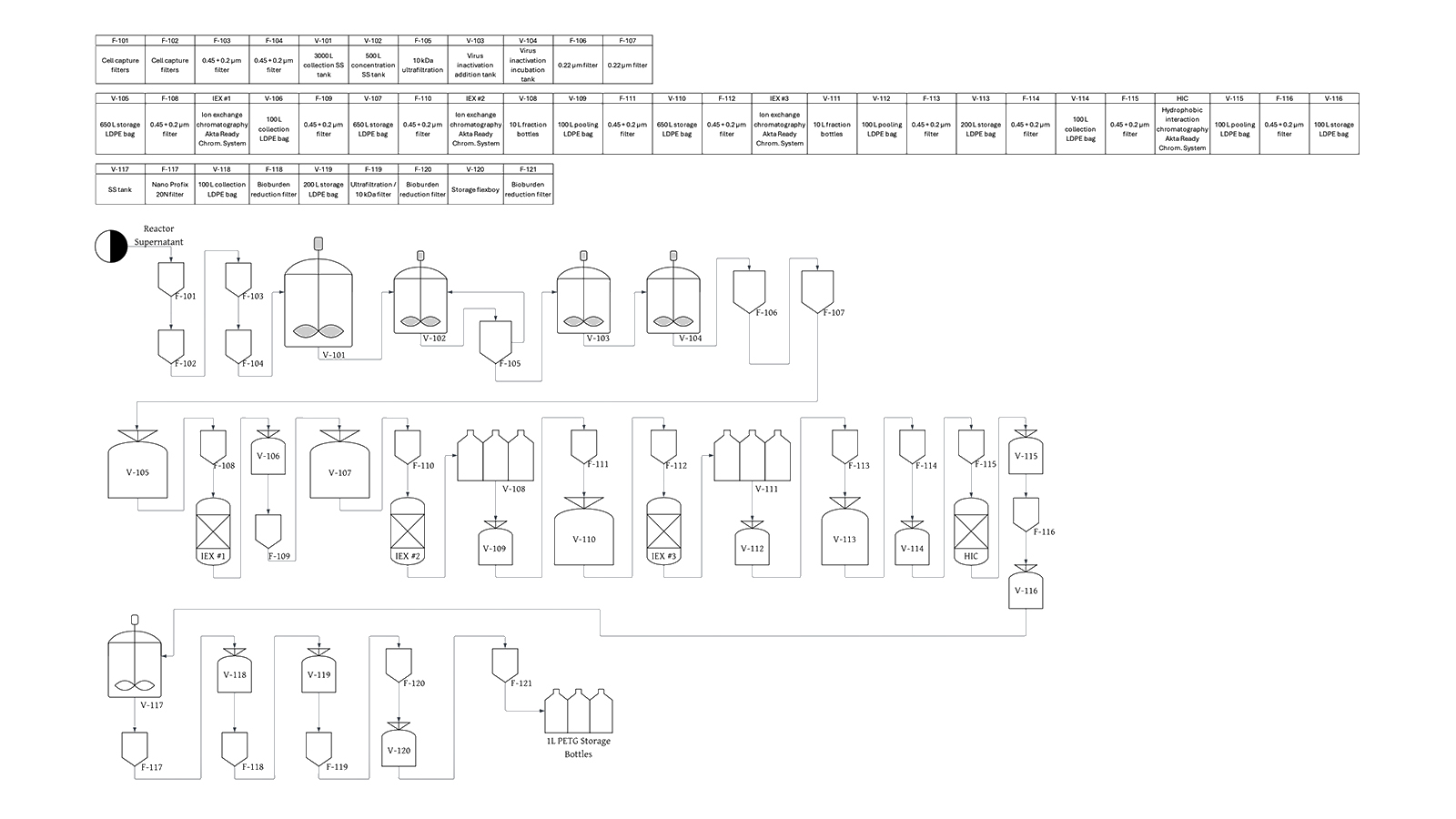 Downstream Process Decisions in Biologics Manufacturing Project Image