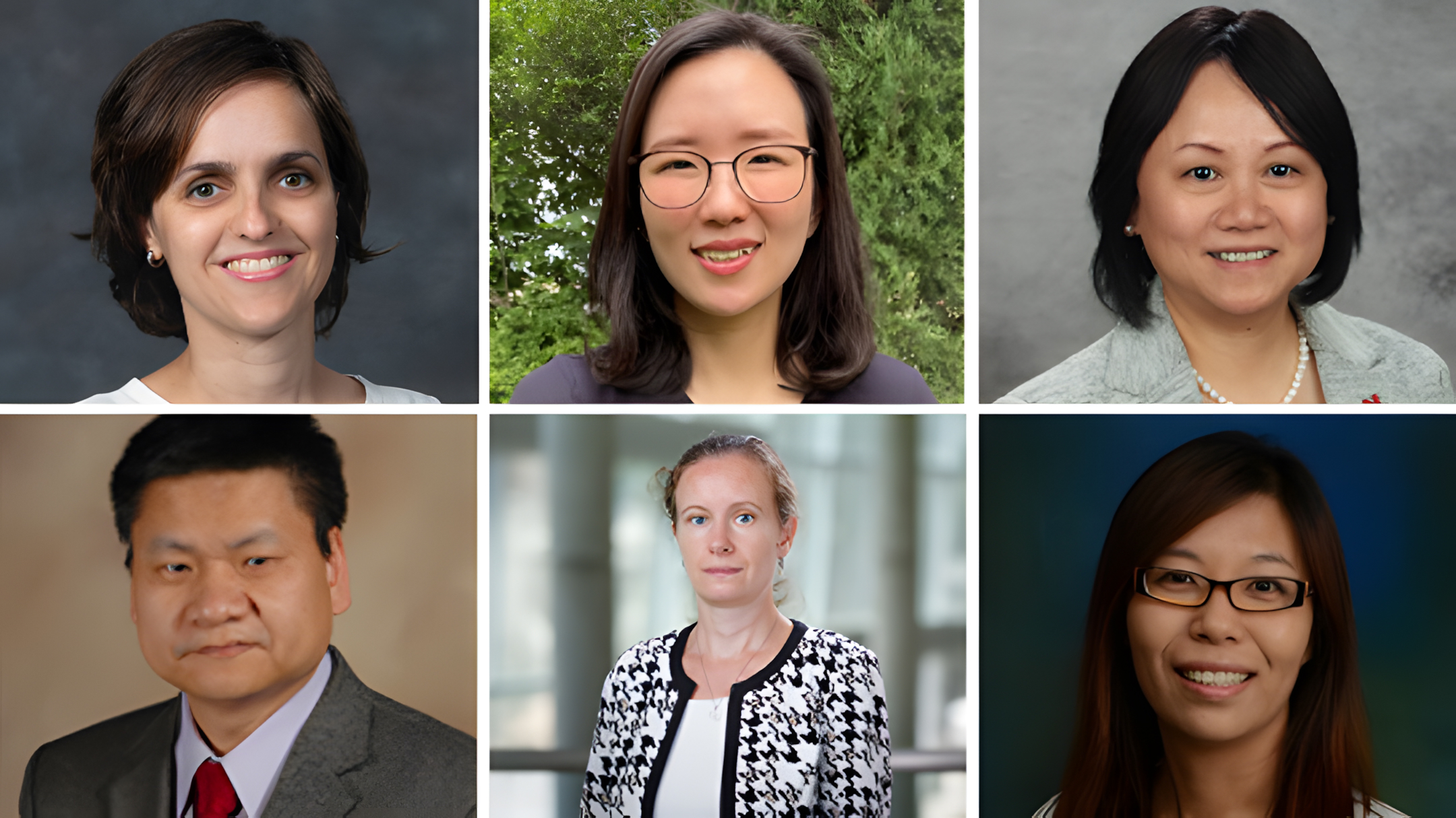 Left to right: Lucia Fernandez-Ballester, Seulki Kim, Yusong Li, Yongfeng Lu, Svetlana Romanova, Bing Wang.