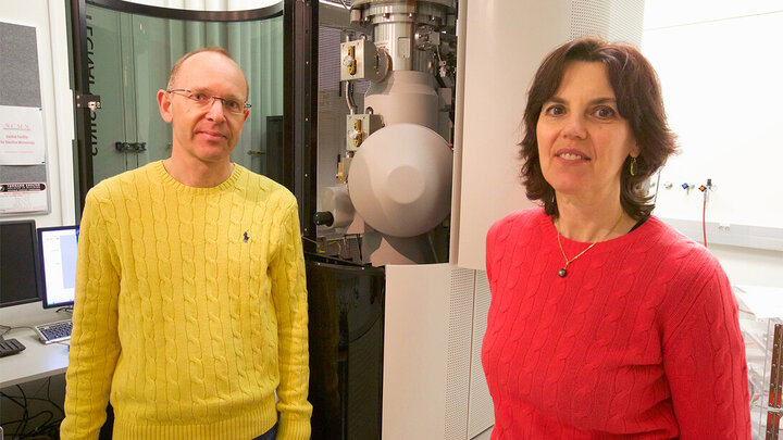 Peter Sutter (left), professor of electrical and computer engineering, and Eli Sutter, professor of mechanical and materials engineering