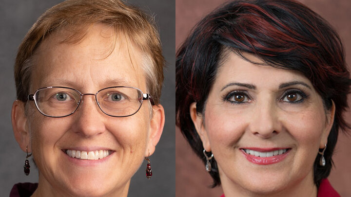 Heidi Diefes-Dux, professor of biological systems engineering, and Jena Asgarpoor, director of the Master of Engineering Management program.