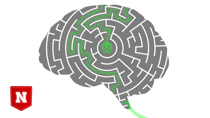 Stock image of a brain with a maze.