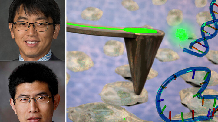 Jae Sung Park (top) and Ruiguo Yang, each an assistant professor of mechanical and materials engineering, are working to improve drug delivery systems by applying electrical charges to cell surfaces.