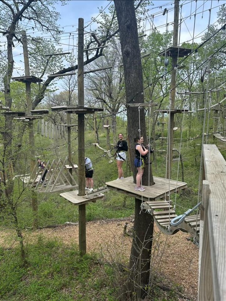 PKFEATreeRushAdventure2025