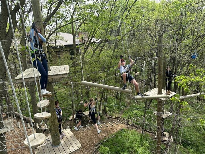 PKFEATreeRushAdventure2025