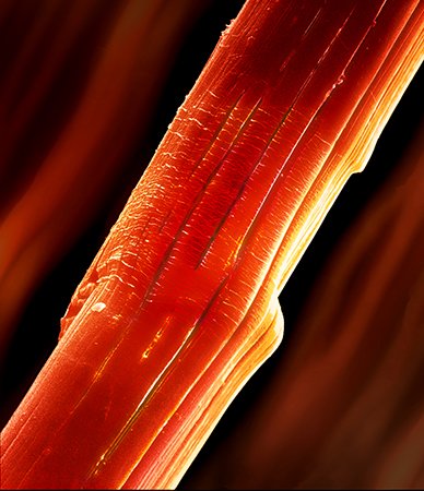 An image of a UHMWPE fiber from a paper by Yuris Dzenis' group was chosen for the cover of the May 29 edition of ACS Applied Materials & Interfaces.