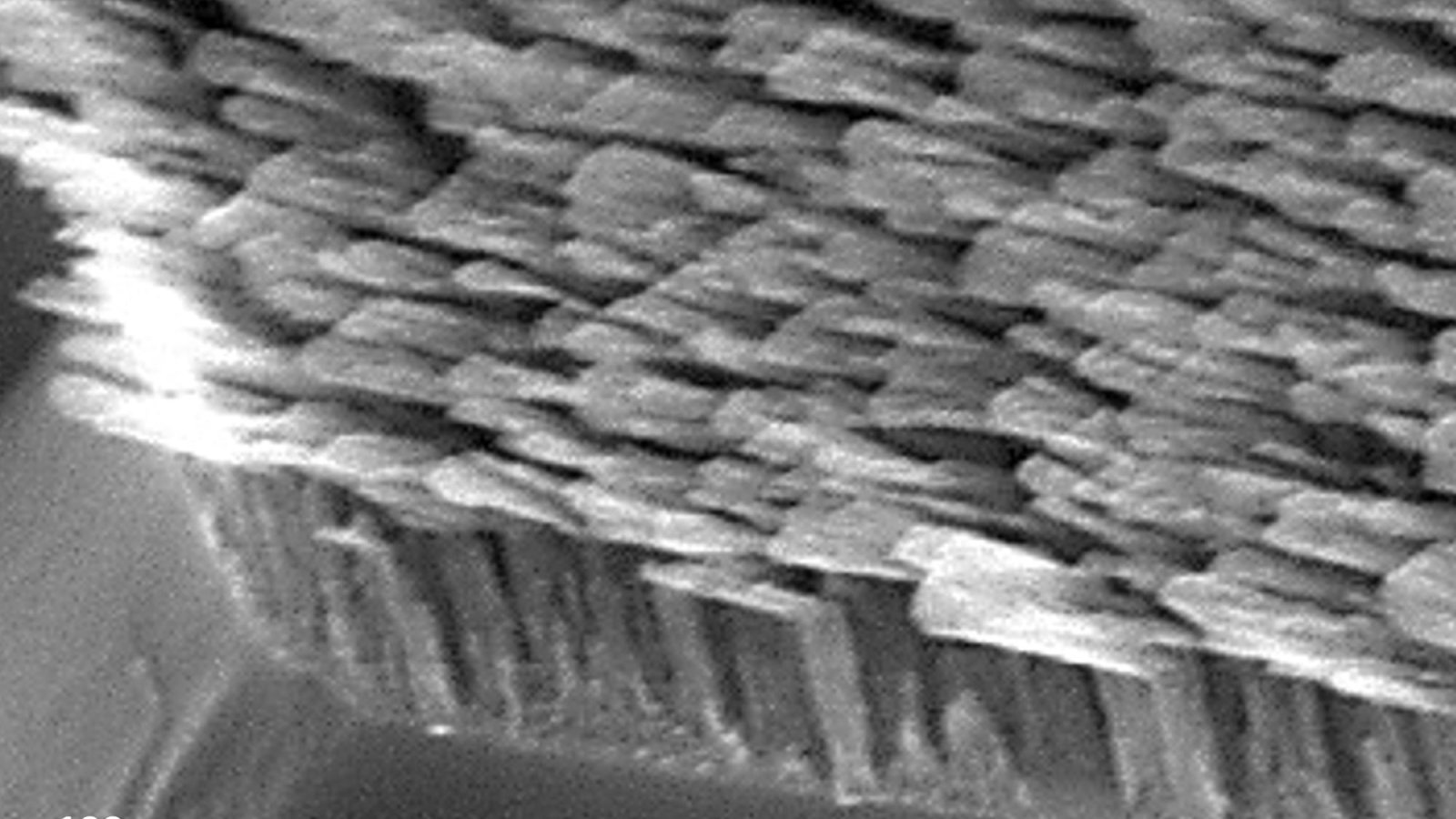 Researchers fabricated an optical element that uses a forest of tiny, antenna-like nanorods, seen here, that together create a metamaterial able to control the spin of light. The metamaterial nanorods appear to be shaped like the letter “L” when seen at the nanoscale. 