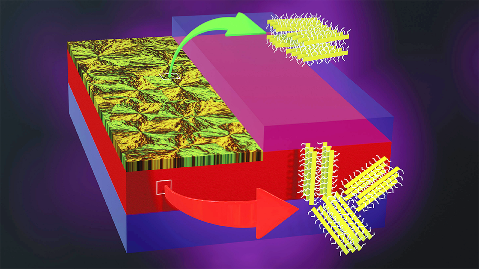 A rendering of a nanoscopically thin film of P3HT, a polymer whose lightweight flexibility and ability to conduct electricity has positioned it as a candidate material for next-gen electronics. Nebraska researchers have found that melting and cooling the material can lead to the emergence of two layers with differing properties that could be tailored to various electronic devices. (American Chemical Society)