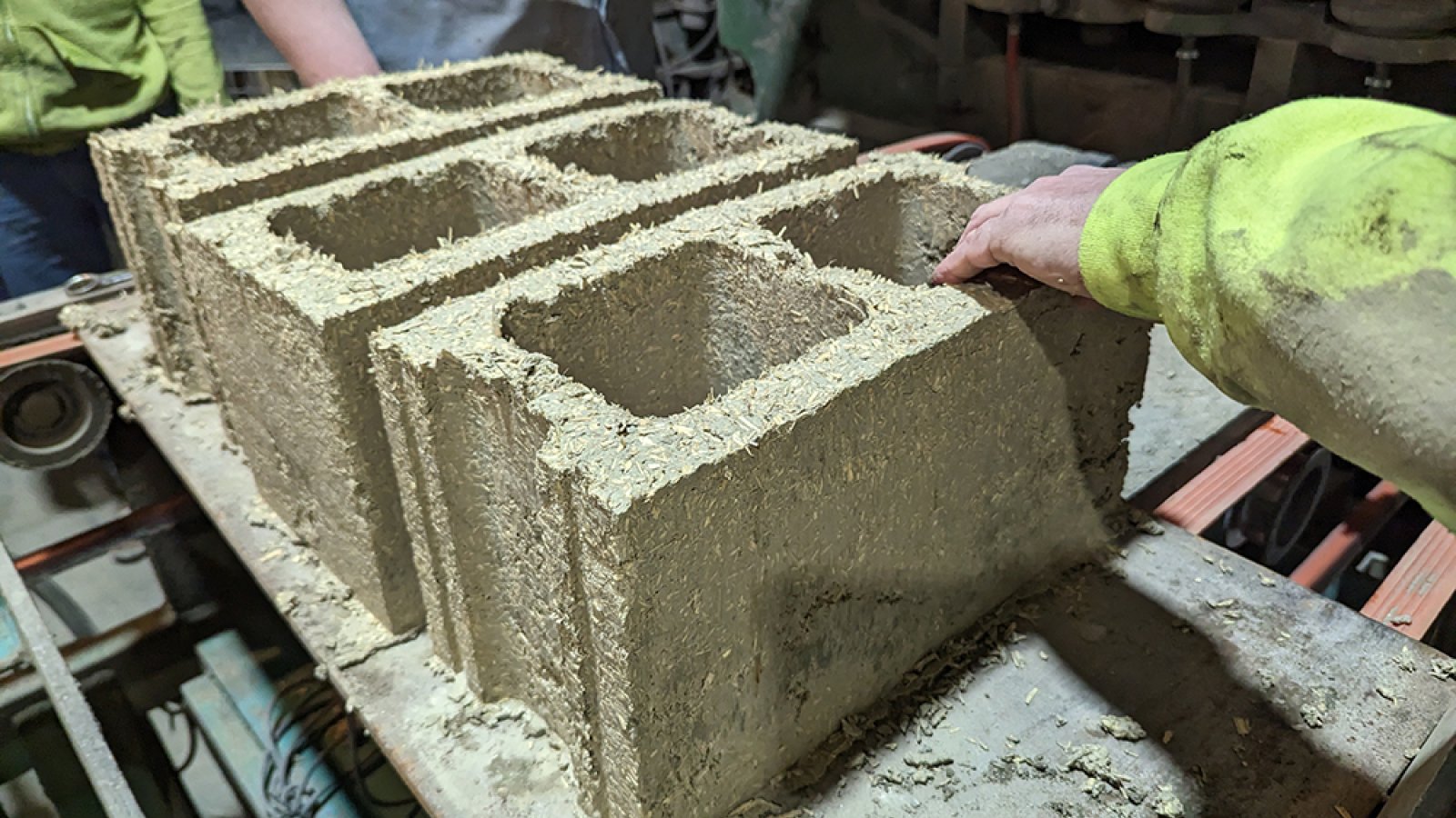 Marc Maguire and his research team poured 500 cinder blocks recently using a new, plant-based mixture featuring the core of hemp plants. 